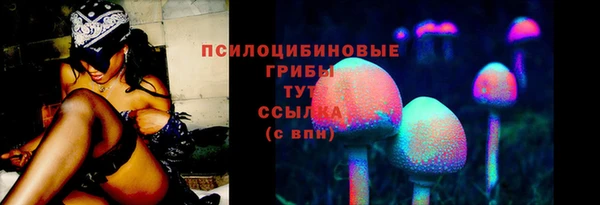 крисы Гусев