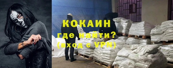 крисы Гусев