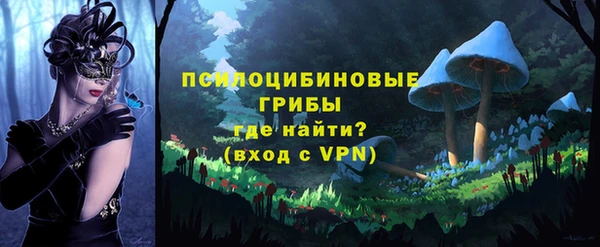 крисы Гусев