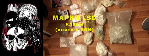 крисы Гусев