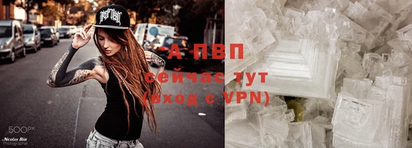 крисы Гусев